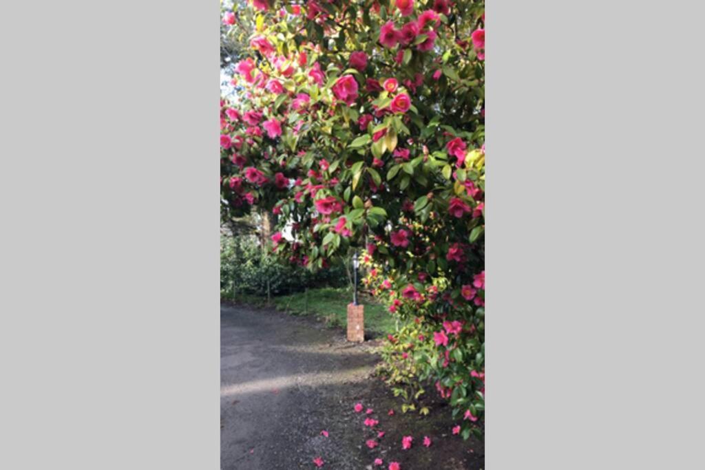 The Tack Room Cottage - Wells House & Gardens 웩스퍼드 외부 사진